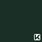 U699 VERDE BRAD