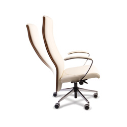 Scaune ergonomice de birou